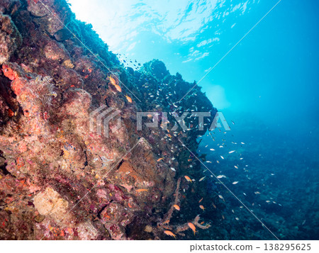 在Hirizo海灘可以找到金魚、藍花魚、黃尾鯛、大眼雀鯛、海鞭魚以及其他魚類。 138295625