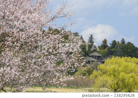 Cherry blossoms and Kobuntei pavilion in Kairakuen Park in spring. 138295626