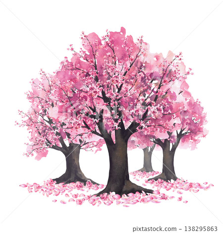 Blooming sakura trees with soft pink cherry blossoms flowers and falling petals. Hand painted watercolor asian landscape illustration. isolated nature design for spring japan Hanami festival design Blooming sakura trees with soft pink cherry blossoms flowers and falling petals. Hand painted watercolor asian landscape illustration. isolated nature design for spring japan Hanami festival design 138295863