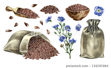 Set of flaxseed oil. Hand-drawn watercolor illustration. Flax seeds, flowers, oil bottle, jute bags, oil splash. Design elements for labels and packaging, banners, posters, and more. 138295864