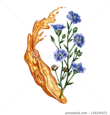 Flaxseed oil. Hand-drawn watercolor illustration. Splash of oil and flax flowers. Element of label and packaging design, banners, posters, and more. Flaxseed oil. Hand-drawn watercolor illustration. Splash of oil and flax flowers. Element of label and packaging design, banners, posters, and more. 138295872
