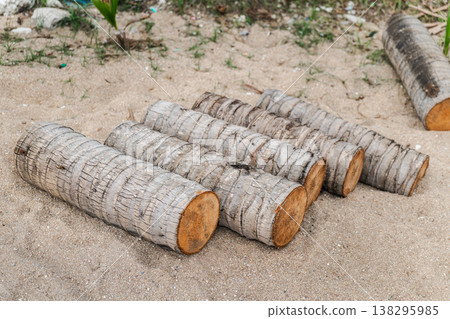 Cut palm tree trunks lying on sandy ground on tropical beach Koh Samui Thailand Cut palm tree trunks lying on sandy ground on tropical beach Koh Samui Thailand 138295985