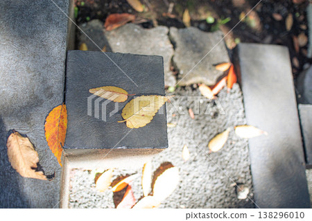 Fallen leaves scattered on the ground 138296010