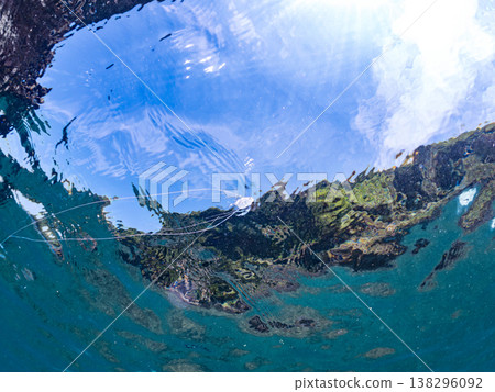 幼年絲鰭鰺在水面遊動。其他。日本伊豆半島靜岡縣南伊豆町中木市Hirizo海灘 - 2025,日本頂級浮潛地點之一。 幼年絲鰭鰺在水面遊動。其他。日本伊豆半島靜岡縣南伊豆町中木市Hirizo海灘 - 2025,日本頂級浮潛地點之一。 138296092