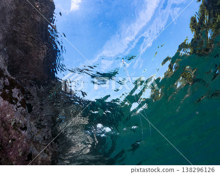 幼年絲鰭鰺在水面遊動。其他。日本伊豆半島靜岡縣南伊豆町中木市Hirizo海灘 - 2025，日本頂級浮潛地點之一。 138296126