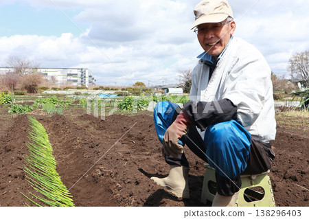 A man planting green onion seedlings 138296403