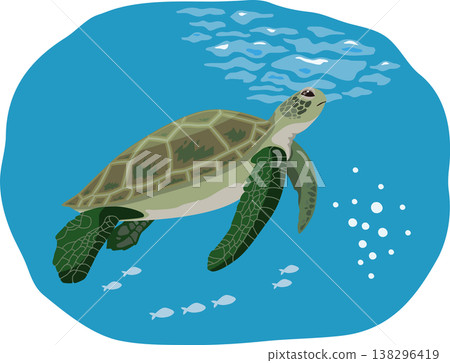Green sea turtle with background 138296419