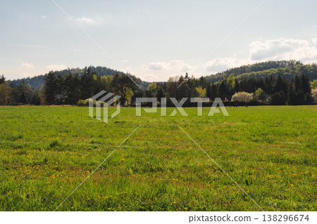 Green meadow with yellow dandelions and houses near forested hills, Czech Republic. Green meadow with yellow dandelions and houses near forested hills, Czech Republic. 138296674