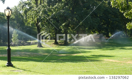 New York City Central Park, USA. Green lawn, grass greenery, meadow in morning and street lantern. New York City Central Park, USA. Green lawn, grass greenery, meadow in morning and street lantern. 138297062