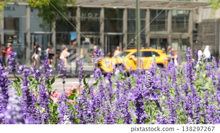 New York City, USA. Manhattan Midtown Columbus Circle Broadway street. Yellow taxi, people, flowers. 138297267