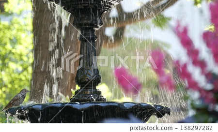 New York Manhattan Midtown Madison Square Park, USA. Birds in fountain. 5 fifth avenue and Broadway. 138297282
