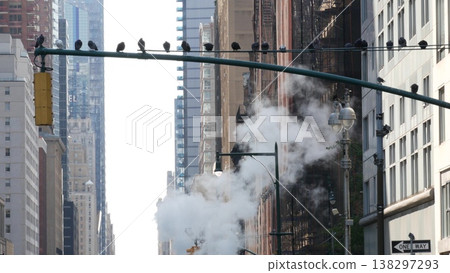 New York City Midtown urban architecture, Manhattan street, 8 avenue, USA. Hot steam smoke. Pigeons. New York City Midtown urban architecture, Manhattan street, 8 avenue, USA. Hot steam smoke. Pigeons. 138297293