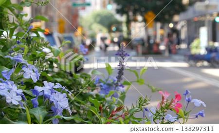Flowers near Broadway street and Union Square, Manhattan Midtown road, New York City, United States. Flowers near Broadway street and Union Square, Manhattan Midtown road, New York City, United States. 138297311