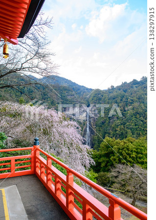 從和歌山縣青巖寺三重塔上眺望櫻花和那智瀑布 從和歌山縣青巖寺三重塔上眺望櫻花和那智瀑布 138297915