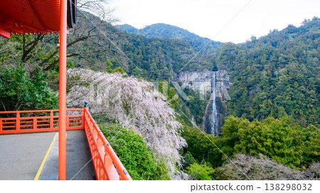 從和歌山縣青巖寺三重塔上眺望櫻花和那智瀑布 從和歌山縣青巖寺三重塔上眺望櫻花和那智瀑布 138298032