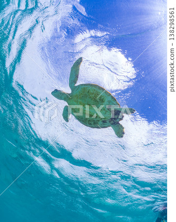 綠海龜和其他海洋生物浮出水面呼吸。美麗的珊瑚礁和成群的熱帶魚。沖繩縣島尻郡慶良間群島赤島前濱海灘 138298561