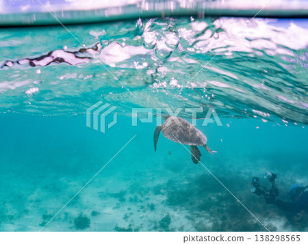 Green sea turtles and other marine life surface to breathe. Beautiful coral reefs and schools of tropical fish. Akajima Maehama Beach, Kerama Islands, Shimajiri District, Okinawa Prefecture 138298565