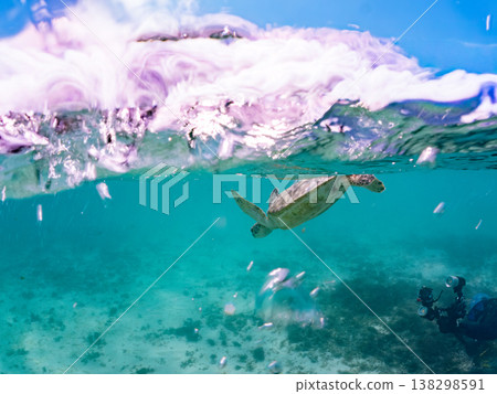 綠海龜和其他海洋生物浮出水面呼吸。美麗的珊瑚礁和成群的熱帶魚。沖繩縣島尻郡慶良間群島赤島前濱海灘 綠海龜和其他海洋生物浮出水面呼吸。美麗的珊瑚礁和成群的熱帶魚。沖繩縣島尻郡慶良間群島赤島前濱海灘 138298591