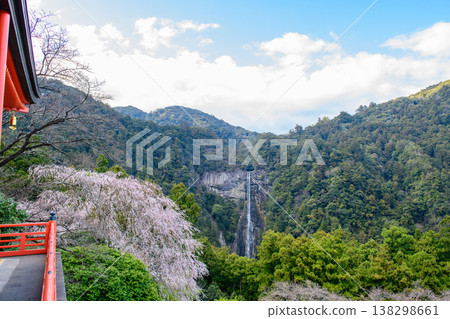 從和歌山縣青巖寺三重塔上眺望櫻花和那智瀑布 138298661