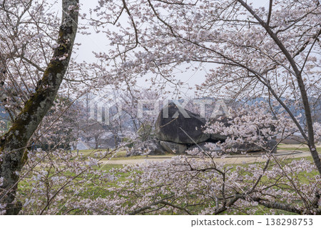 The Ishibutai Kofun tomb surrounded by cherry blossoms in full bloom 138298753
