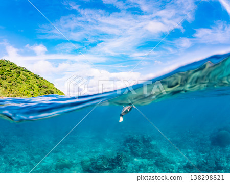 綠海龜和其他海洋生物浮出水面呼吸。美麗的珊瑚礁和成群的熱帶魚。沖繩縣島尻郡慶良間群島赤島赤海灘 綠海龜和其他海洋生物浮出水面呼吸。美麗的珊瑚礁和成群的熱帶魚。沖繩縣島尻郡慶良間群島赤島赤海灘 138298821
