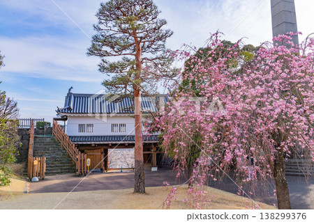 (Yamanashi Prefecture) Kofu Castle: Iron Gate and Monument of Gratitude 138299376