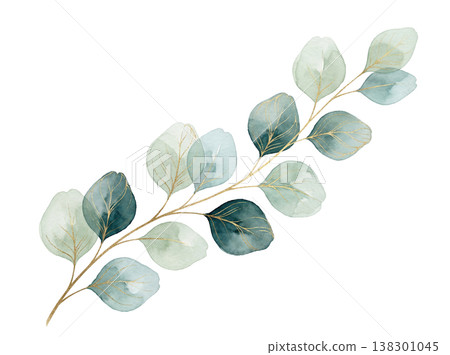 Watercolor painting: Leaf Watercolor painting: Leaf 138301045