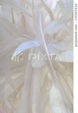 White feather soft feather fluffy feather light texture feather background abstract feather delicate plume pastel tone gentle texture closeup nature White feather soft feather fluffy feather light White feather soft feather fluffy feather light texture feather background abstract feather delicate plume pastel tone gentle texture closeup nature White feather soft feather fluffy feather light 138301810