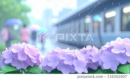 雨中繡球花閃閃發光，人們撐著傘在火車站附近行走——這是日本雨季的典型景象。 138302007
