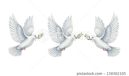 Three white doves flying with olive branches in their beaks, isolated on a transparent background for design and illustration purposes 138302105