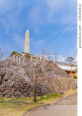 (山梨縣)舞鶴城公園(甲府城遺址)櫻花盛開 (山梨縣)舞鶴城公園(甲府城遺址)櫻花盛開 138302612