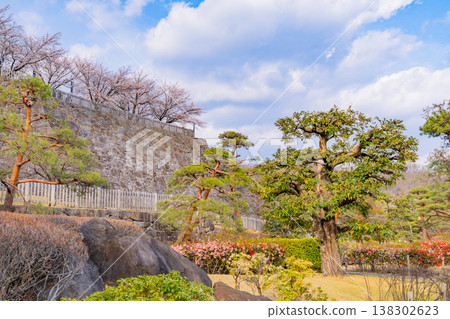 (Yamanashi Prefecture) Cherry blossoms in bloom at Maizuru Castle Park (Kofu Castle Ruins) 138302623