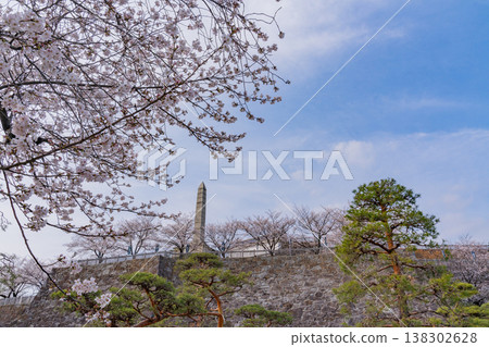 (Yamanashi Prefecture) Cherry blossoms in bloom at Maizuru Castle Park (Kofu Castle Ruins) (Yamanashi Prefecture) Cherry blossoms in bloom at Maizuru Castle Park (Kofu Castle Ruins) 138302628
