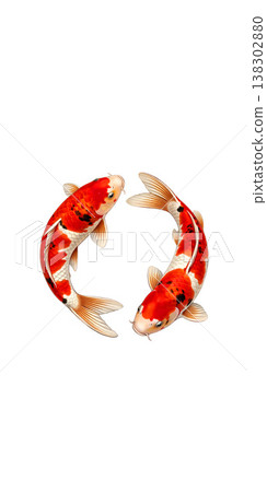Two red and white koi carp drawing a circle: a symmetrical, Japanese-style illustration. 138302880