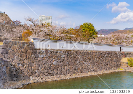 (Yamanashi Prefecture) A view of Kofu city from Maizuru Castle Park (Kofu Castle Ruins) with cherry blossoms in bloom. 138303239