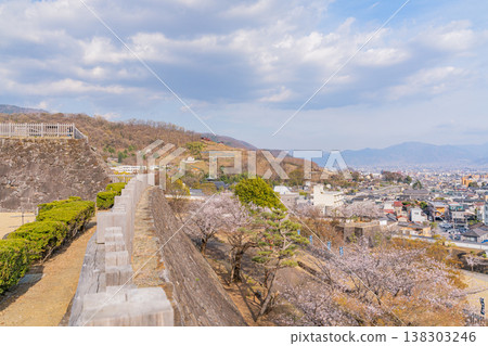 (山梨縣)從舞鶴城公園(甲府城遺址)眺望甲府市,櫻花盛開。 (山梨縣)從舞鶴城公園(甲府城遺址)眺望甲府市,櫻花盛開。 138303246