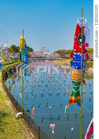 櫻花和鯉魚飄帶 櫻花和鯉魚飄帶 138303305