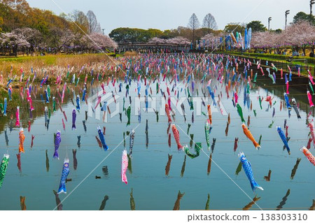櫻花和鯉魚飄帶 櫻花和鯉魚飄帶 138303310