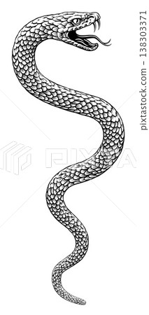 Snake Coiled Serpent Vintage Style Illustration 138303371