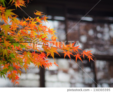 Autumn leaves and old houses Autumn leaves and old houses 138303395