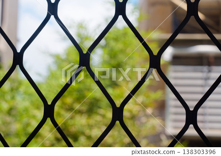 Close-up View Through Black Iron Window to Blue Sky Trees and Buildings 138303396