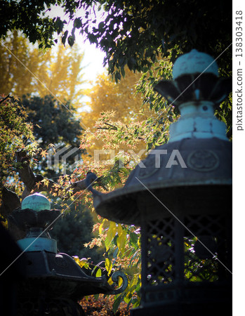 Autumn leaves and stone lanterns Autumn leaves and stone lanterns 138303418