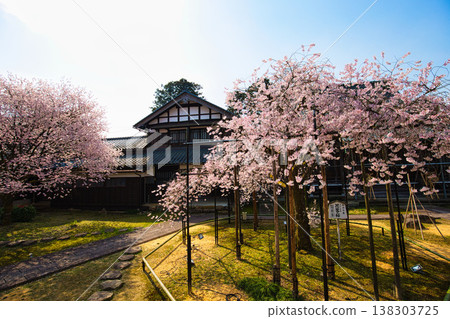 Spring arrives in the village of Manyo. 138303725