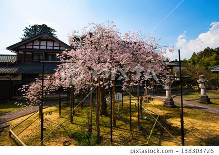 Spring arrives in the village of Manyo. Spring arrives in the village of Manyo. 138303726