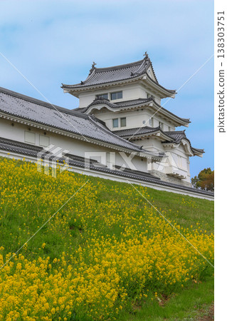 春天，城堡塔樓和油菜花競相綻放。 138303751