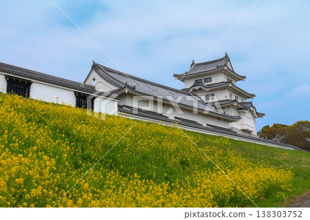 春天觀賞城堡主塔 138303752