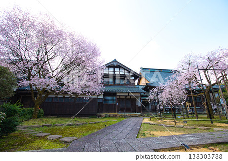 曼約村迎來了春天。 曼約村迎來了春天。 138303788