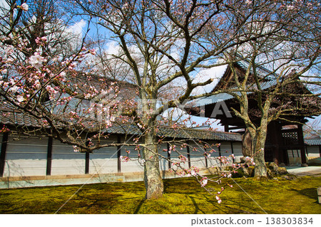 Spring arrives in the village of Manyo. 138303834