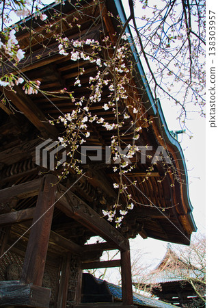 Spring arrives in the village of Manyo. Spring arrives in the village of Manyo. 138303957