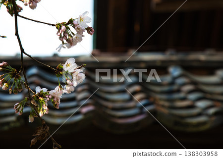 Spring arrives in the village of Manyo. 138303958